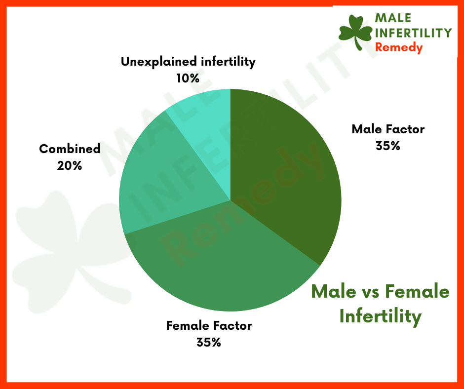 Male vs Female Infertility Which is More Common 