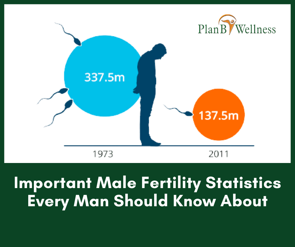 Important Male Fertility Statistics You Should Know About