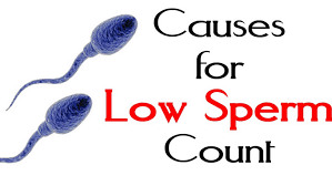 CAUSES OF LOW SPERM COUNT