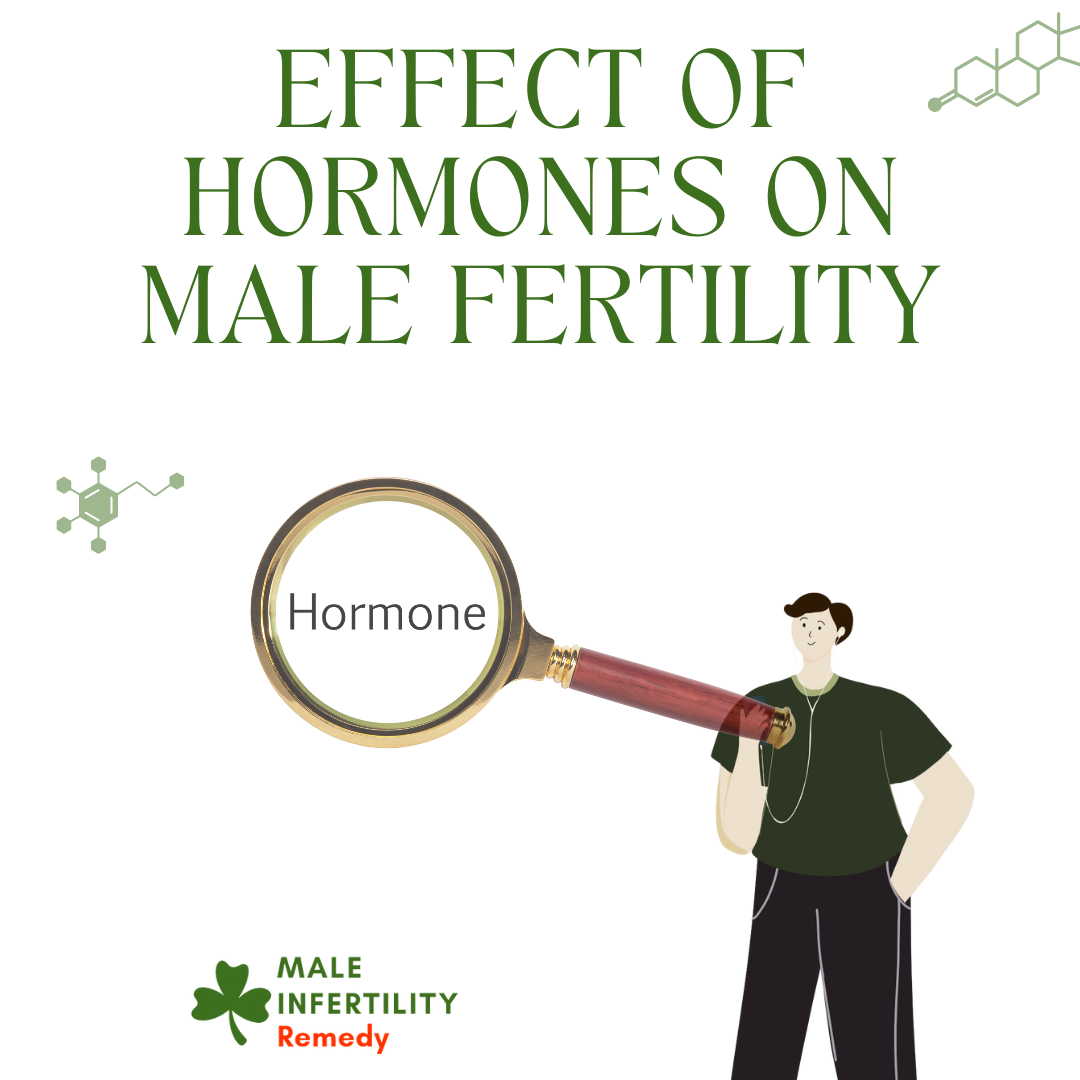 Effect of Hormones on Male Fertility