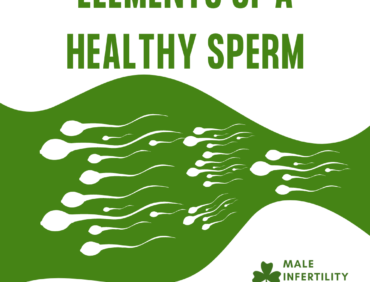 Elements of a Healthy Sperm