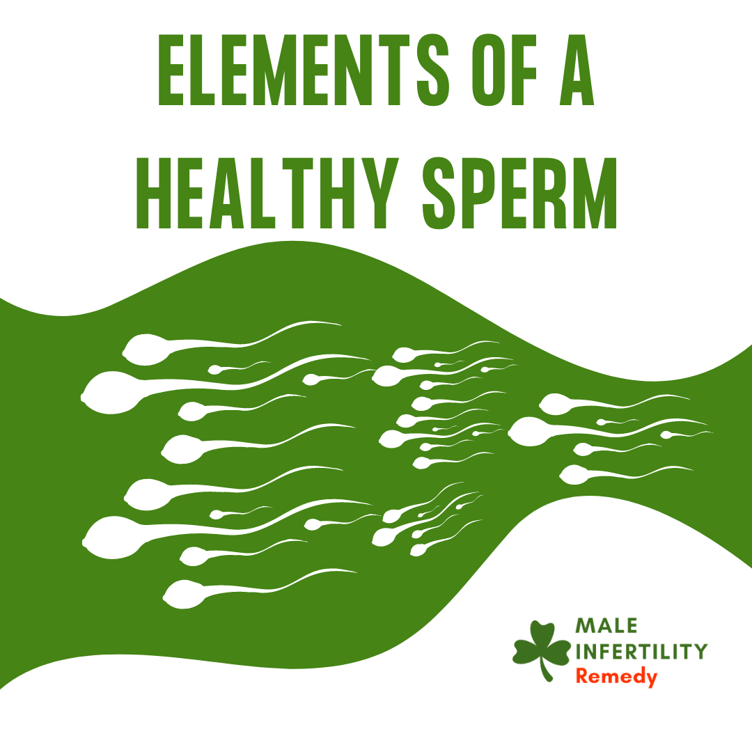 Elements of a Healthy Sperm